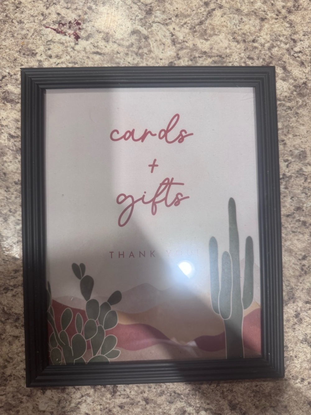 Baby Shower Desert Cactus Picture Frames-2